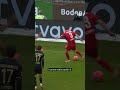 Bundesliga Goal of the Year?