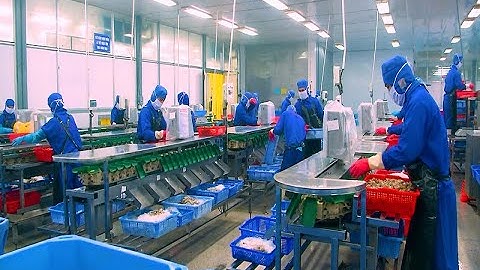 Ngành tôm hướng đến phát triển bền vững