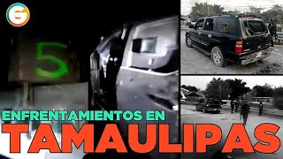 Enfrentamientos Entre Escorpiones Zve Cjng Y Los Metros