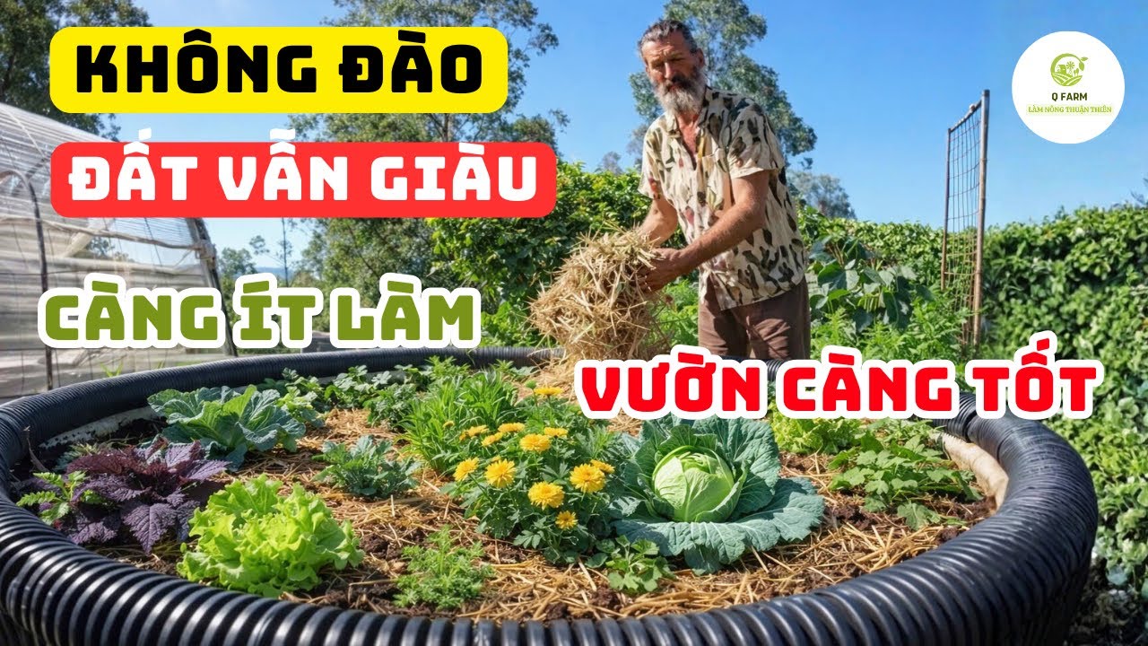 Làm Vườn Không Đào Xới: Bí Quyết Vườn Khỏe – Người Nhàn – Cây Tốt