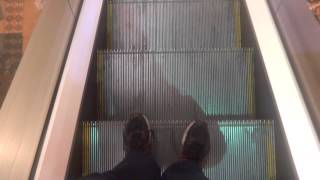 Thyssen Escalators At City Center Outlet In Haifa