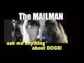How Do I Get My Dog to STOP BARKING at the MAILMAN - Dog Training Video - ask me anything How Do I Get My Dog to STOP BARKING at the MAILMAN - Dog Training Video - ask me anything
