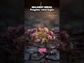 Malaikat Mikail.. Pengatur Rejeki makhluk..#malaikat #faktaunik #viral #faktaislam