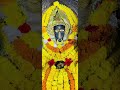 Baglamukhi #love #jaimatadi #nainadevimandir #baglamukhi #vaishnodevinavratri