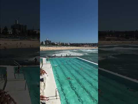 Mornings in Sydney...