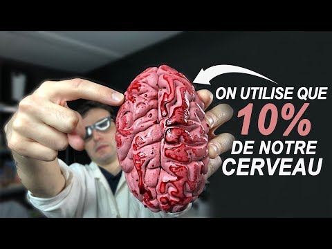 Vidéo: Quelle Part De Notre Cerveau Utilisons-nous? Briser 5 Mythes Sur Le Cerveau