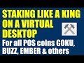 POS Coins Wallet Tutorial on VPS or Virtual Desktop (Goku, Buzz, Ember and many others)