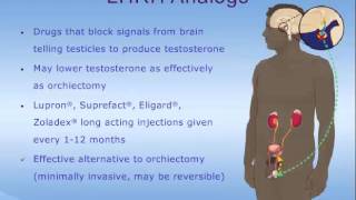 Hormone Therapy for Prostate Cancer