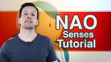 Aldebaran NAO Tutorial Video 4 “Senses"