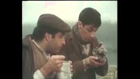 Dove poter vedere il film volevo nascondermi?