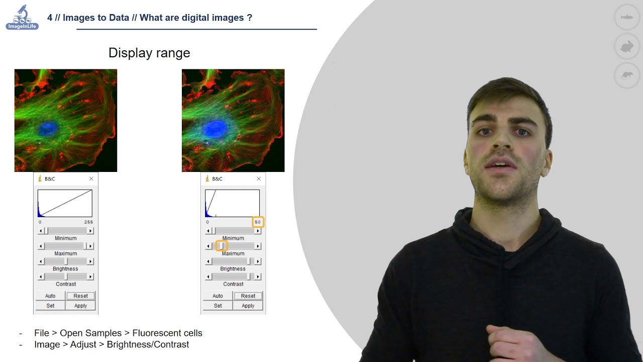4.1 Digital images in microscopy