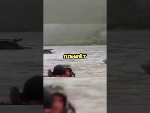 Они обнаружили крузак-амфибию 🌊🐢🛻