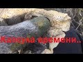 КоП МетаЛЛолома.Ходим вдоль железки.Пришли Конкуренты...