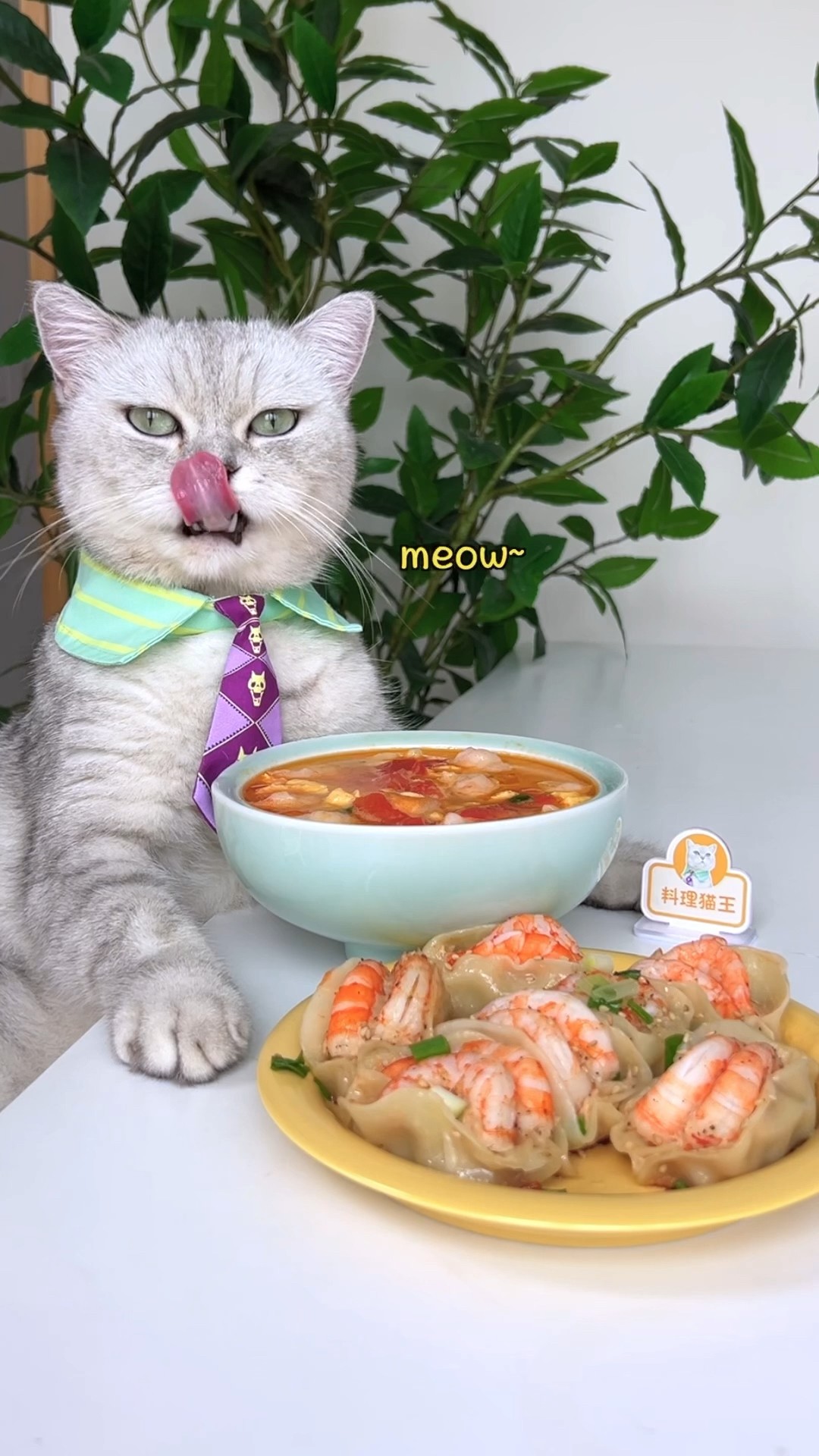 Tasty Shrimp Potstickers \u0026 Tomato Egg Soup!?? #catsofyoutube #foodlover #tiktok
