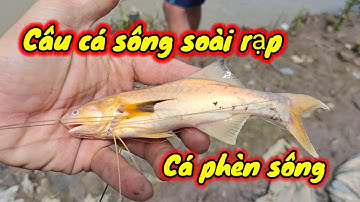 Điểm câu cá tự nhiên lý tưởng ở Cần Giờ view sông thật đẹp, câu đủ loại cá  luôn / 2024