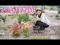 【庭作り⑰】越冬した植物の手入れと、咲いてる花の紹介、宿根草や低木類の植込み17種！Spring Care & planting Trees and Perennials🌳🌺