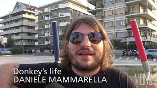 DANIELE MAMMARELLA - Donkey’s life