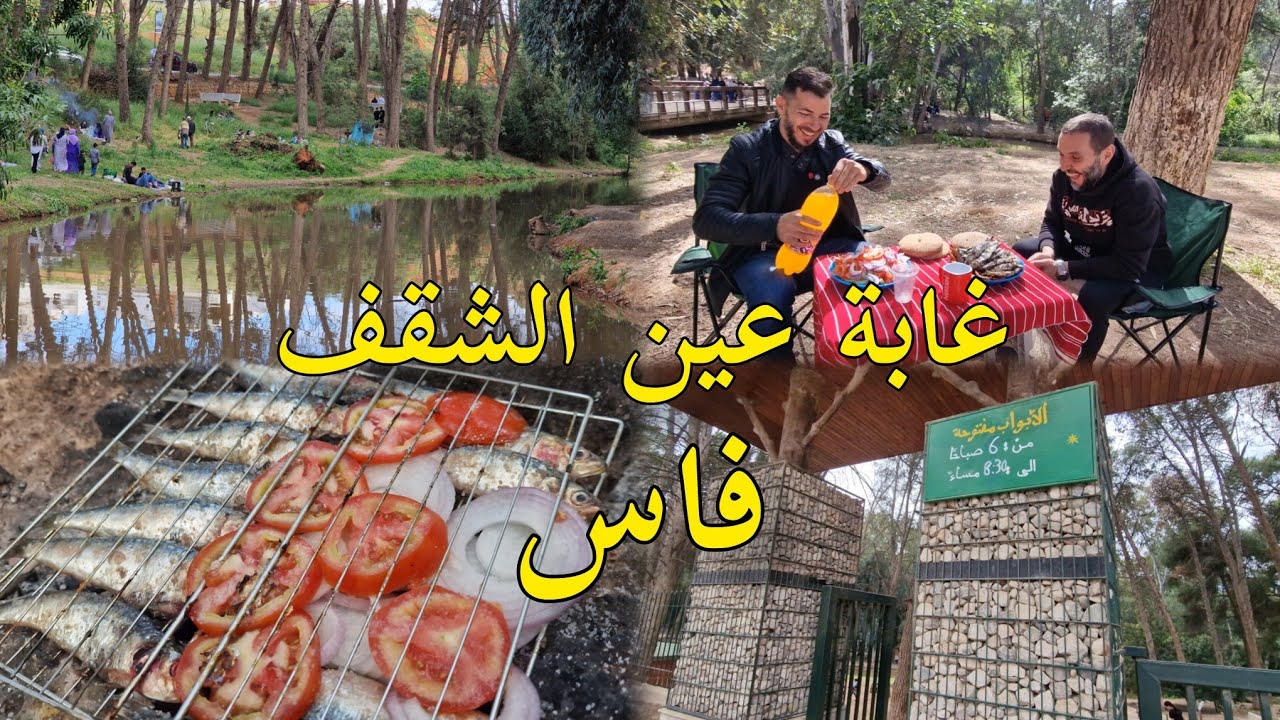 غابة عين الشقف فاس سحر الطبيعة بين الغابة والوديان