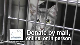Give to the Helping Hands Humane Shelter