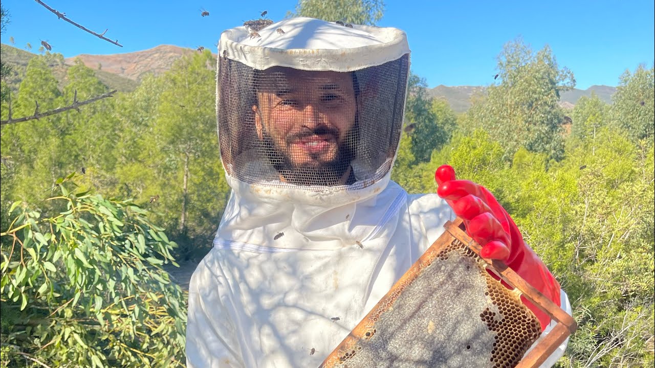 مقتطفات من دورة تربية النحل تطوان 🇲🇦 
