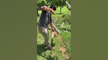 Starting Stihl ms271 chainsaw Comenzando la motosierra #stihl #chainsaw #diy #asmr #work #motosierra