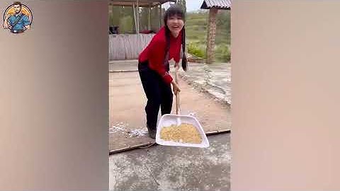 Most Satisfying Videos Of Workers Doing Their Job Perfectly ▶ 40 | MasterZen Work