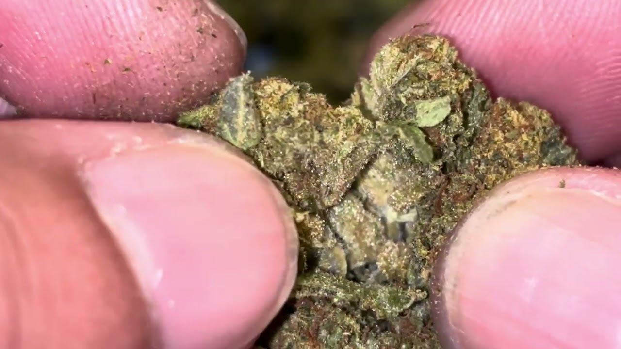 Call Me THCA - яблочный фриттер THCA Flower $40 унций