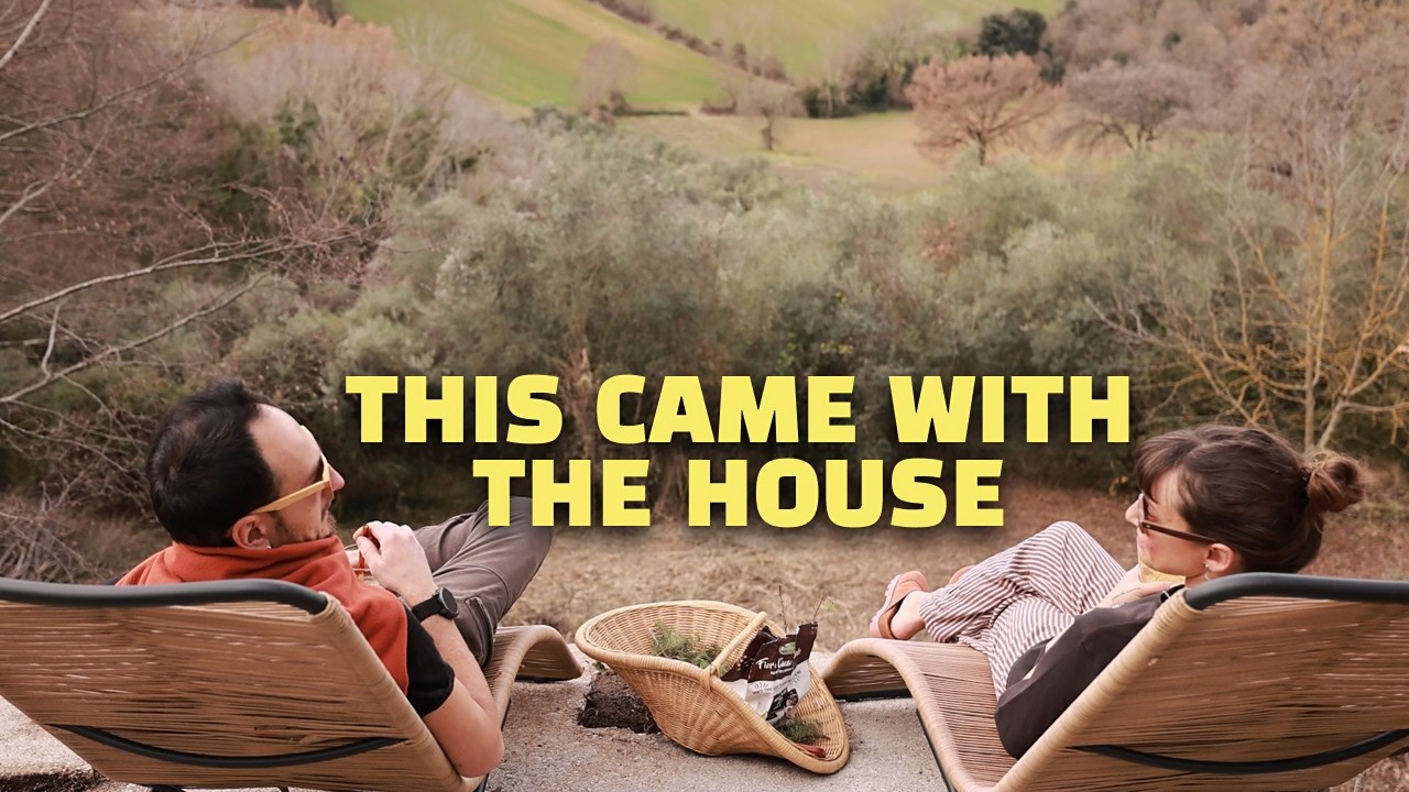 We Bought a House in Italy — and Found This Abandoned Grove