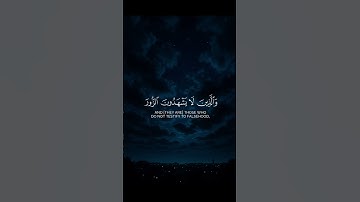 ( وكان الله غفورا رحيما ) | القارئ #محمد_اللحيدان | #قرآن