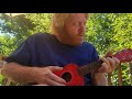 The Crystal Ship, Doors Ukelele cover