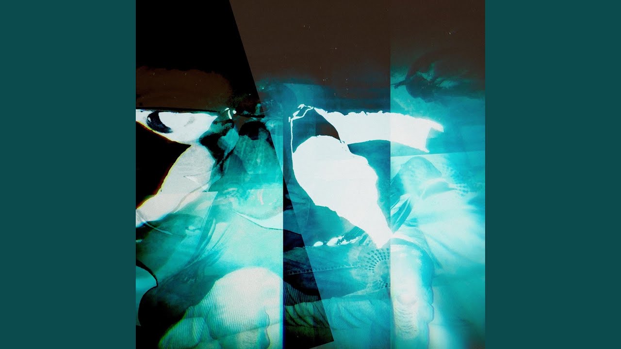 Ver Venus Flytrap en YouTube Ver Venus Flytrap en YouTube
