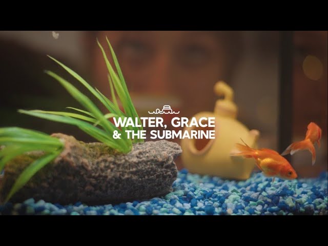 New Movies: Walter, Grace & the Submarine (2024) by Noah Bashore: A Midwestern Rom-Com of Connection and Healing