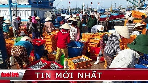 ⚡ Tin mới nhất | Nha Trang: Ngư dân trúng đậm mùa cá nục