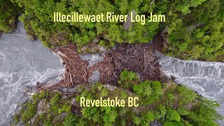 Illecillewaet River Log Jam