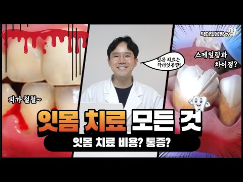 잇몸치료 비용? 통증? 과정? 👨‍⚕️ 잇몸치료를 전문적으로 하는 곳이 있다구요? 👍 잇몸치료의 모든 것 !!