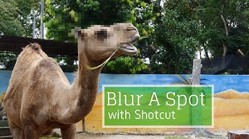 Blur Section With Shotcut (Demo)