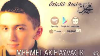 Özledik Seni - Mehmet Akif Ayvacik | Özledik Seni 2016 Ilahi Resimi