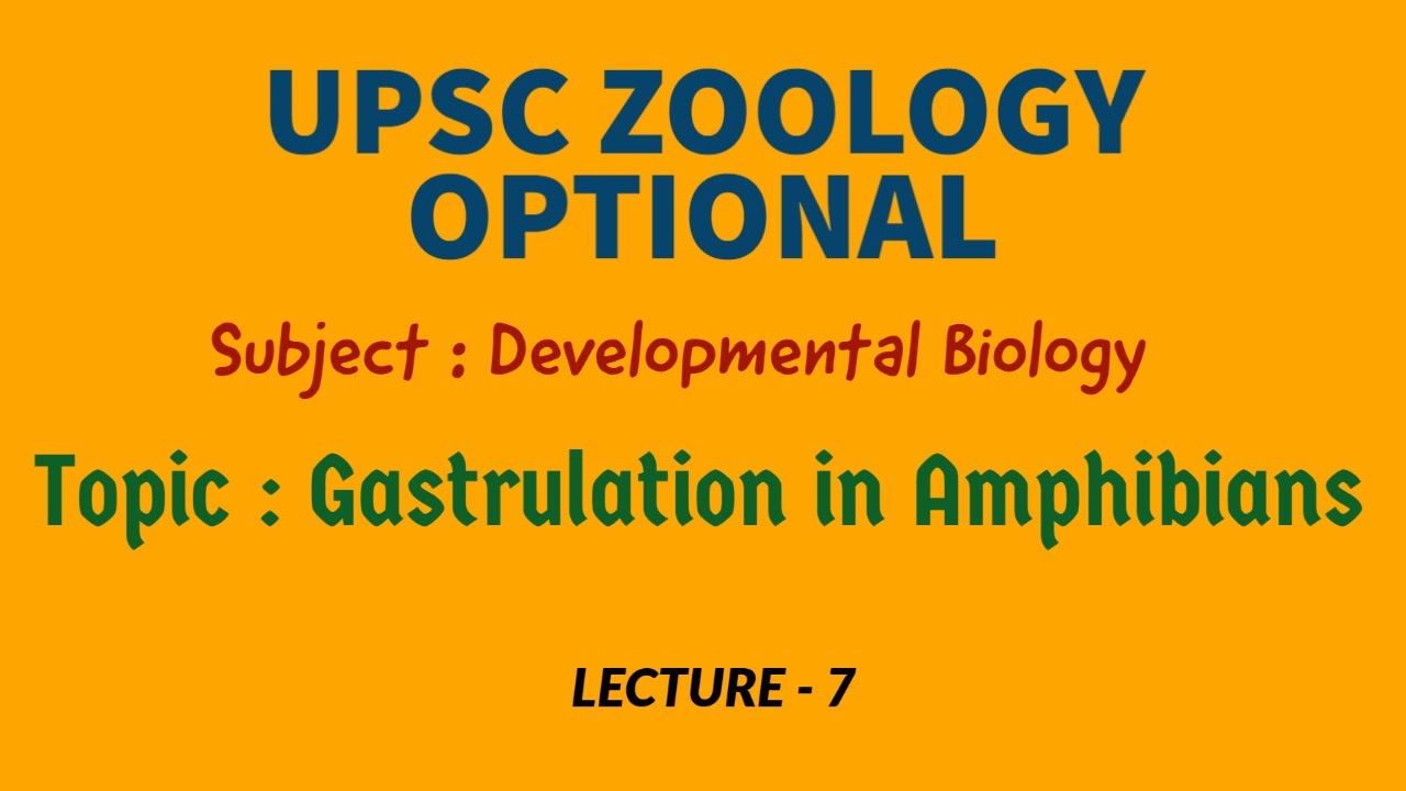 UPSC ZOOLOGY - Developmental Biology Lec-7 | Gastrulation in Amphibians | IAS | IFS | Dr. R.K. Sir