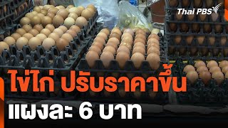 ไข่ไก่ ปรับราคาขึ้น แผงละ 6 บาท | วันใหม่ไทยพีบีเอส | 17 เม.ย. 67