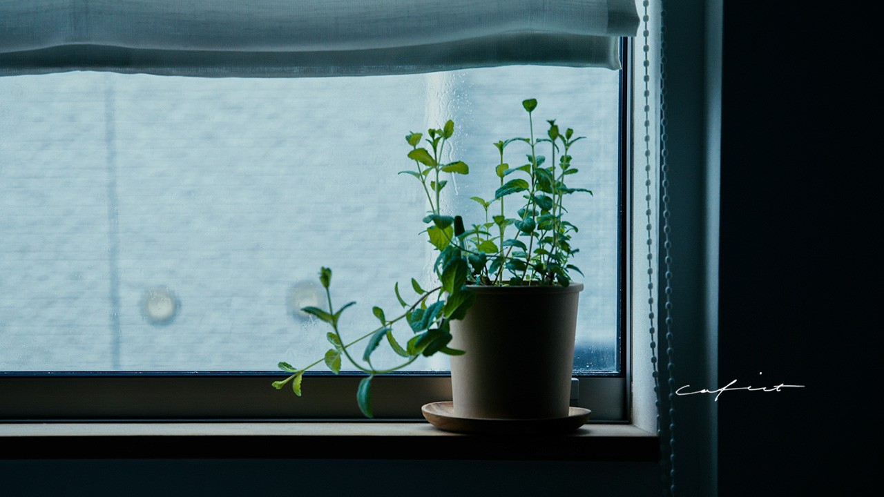 Омолаживающее утро в одиночестве, мой любимый завтрак и кофе.