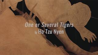 One or Several Tigers | Interview with Ho Tzu Nyen