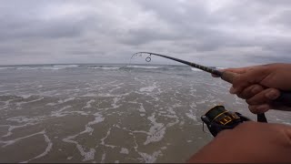 Surf Fishing | Multiple Species | Upper County San Diego