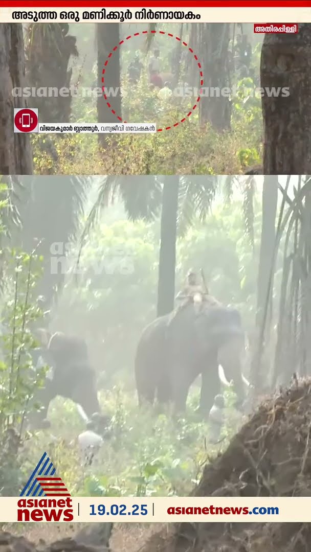'മൃ​ഗങ്ങൾ പൊരുതി പരിക്കേൽക്കുന്നതും മരിച്ചുവീഴുന്നതും കാട്ടിൽ സാധാരണമാണ്'