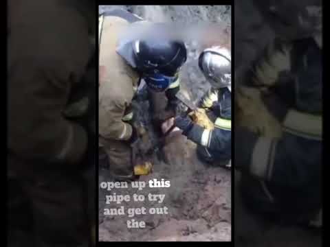 Wideo: Incredible Rescuers Save Crying Puppy After On Tumbles Down Pipe