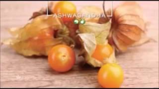 Ingredients Trevo Partie1