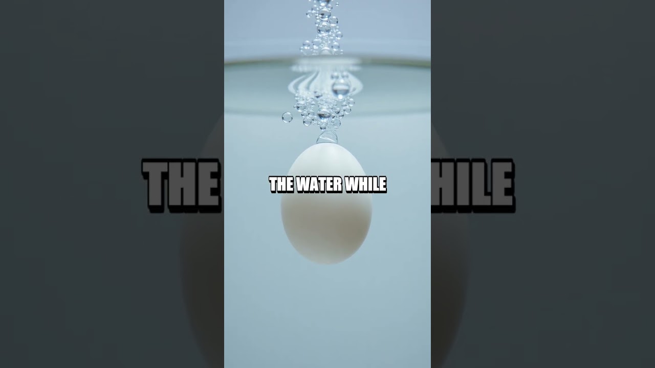 Floating Egg Density Experiment