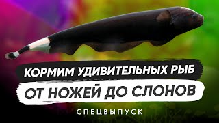 :    . 