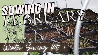 What I'm WINTER SOWING in FEBRUARY! // Backyard Cut Flower Farm // Hardy Annuals + Perennials
