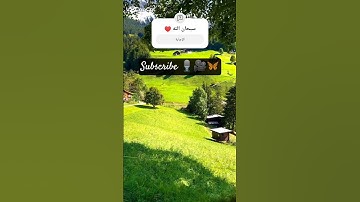 ألم تر أن الله أنزل من السماء ماءً فتصبح الأرض مخضرةً إن الله لطيف خبير"🌿  سورة الحج، الآية 63