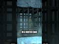 Have you ever been to The Chill in Skyrim?